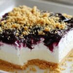 No Bake Lemon Blueberry Dessert 5 No Bake Lemon Blueberry Dessert recipe