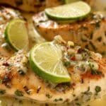 Creamy Cilantro Lime Chicken recipe