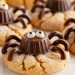 Halloween Spider Cookies recipe