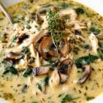 Rotisserie Chicken Mushroom Soup Recipe 4 Rotisserie chicken mushroom soup recipe
