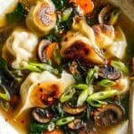 Potsticker Soup recipe